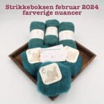 Strikkeboksen standard februar 2024 farverige nuancer